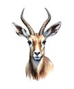 Watercolor antelope isolated on white background. Royalty Free Stock Photo